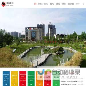 山东黑马集团有限公司