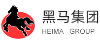 山东黑马集团有限公司